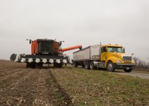 Distance Calculation In Field