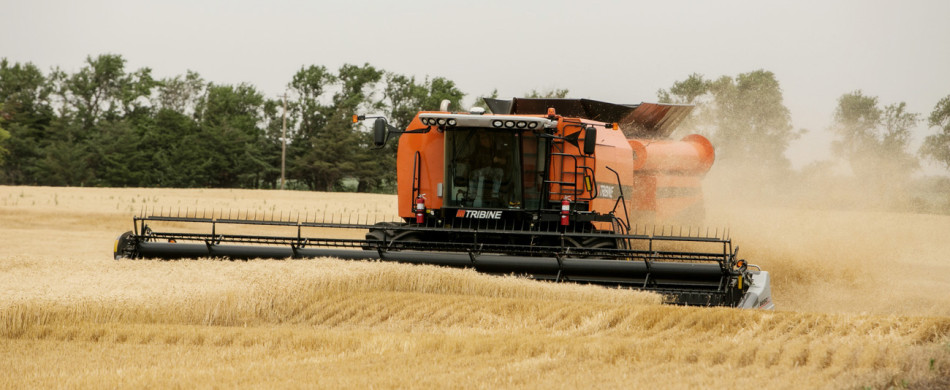 Tribine Harvesting Wheat Terraces