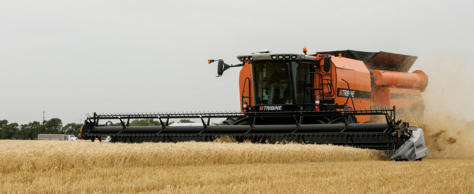 Tribine Wheat Harvest 2013