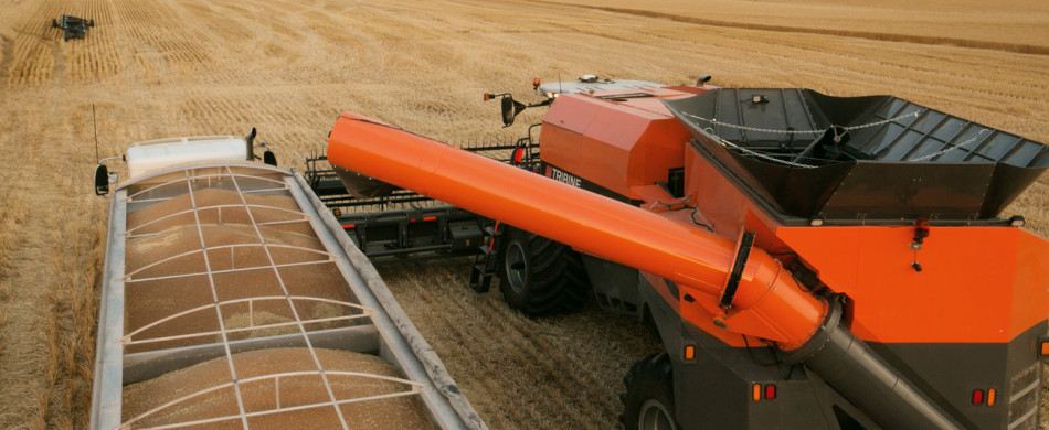 Unloading Wheat Harvest 2013